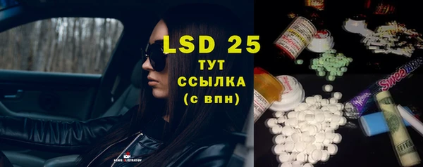 apvp Пестово
