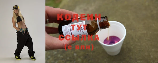 молекула духа Осинники
