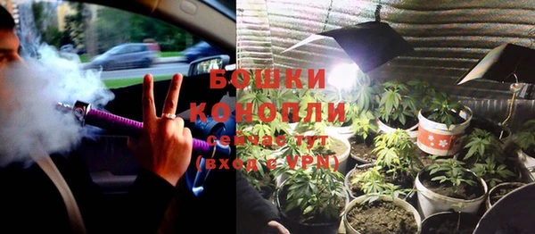 apvp Пестово