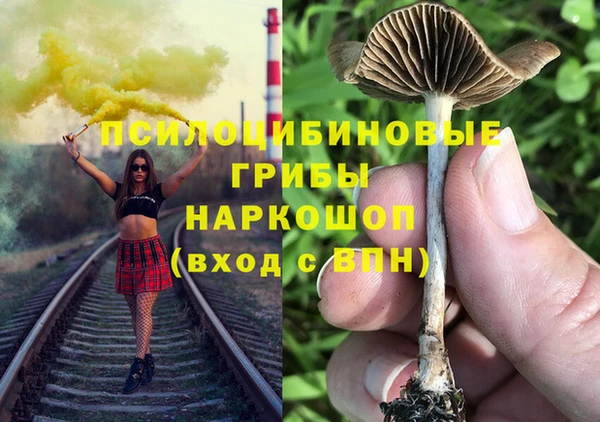 метадон Осташков