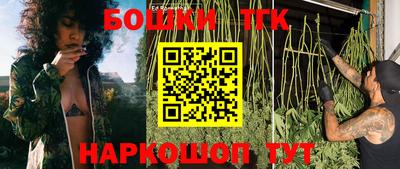 сатива Гагарин