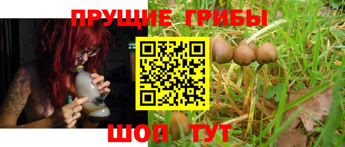 Лосино-Петровский  Псилоцибиновые грибы Psilocybe  дарнет шоп  Вход с VPN  Псилоцибиновые грибы GOLDEN TEACHER 