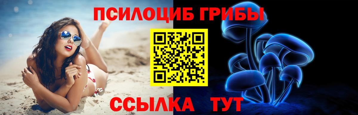 Галлюциногенные грибы GOLDEN TEACHER Лосино-Петровский